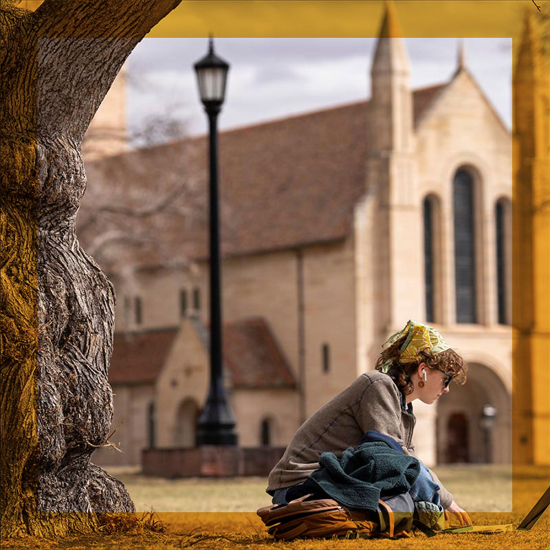 Students studying together