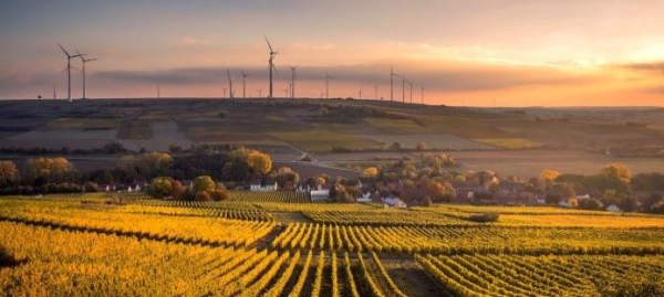 Farm fields with wind turbines in the background