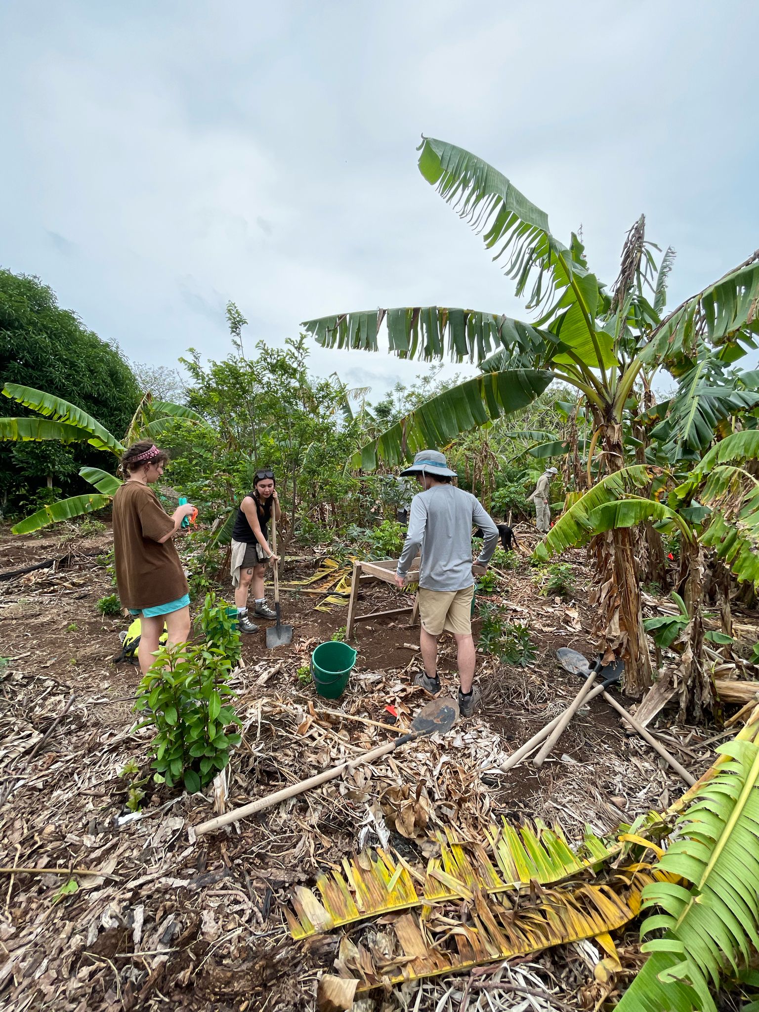 A typical morning at the field school of setting up an excavation unit that we would slowly dig and sift through to find any artifacts.  