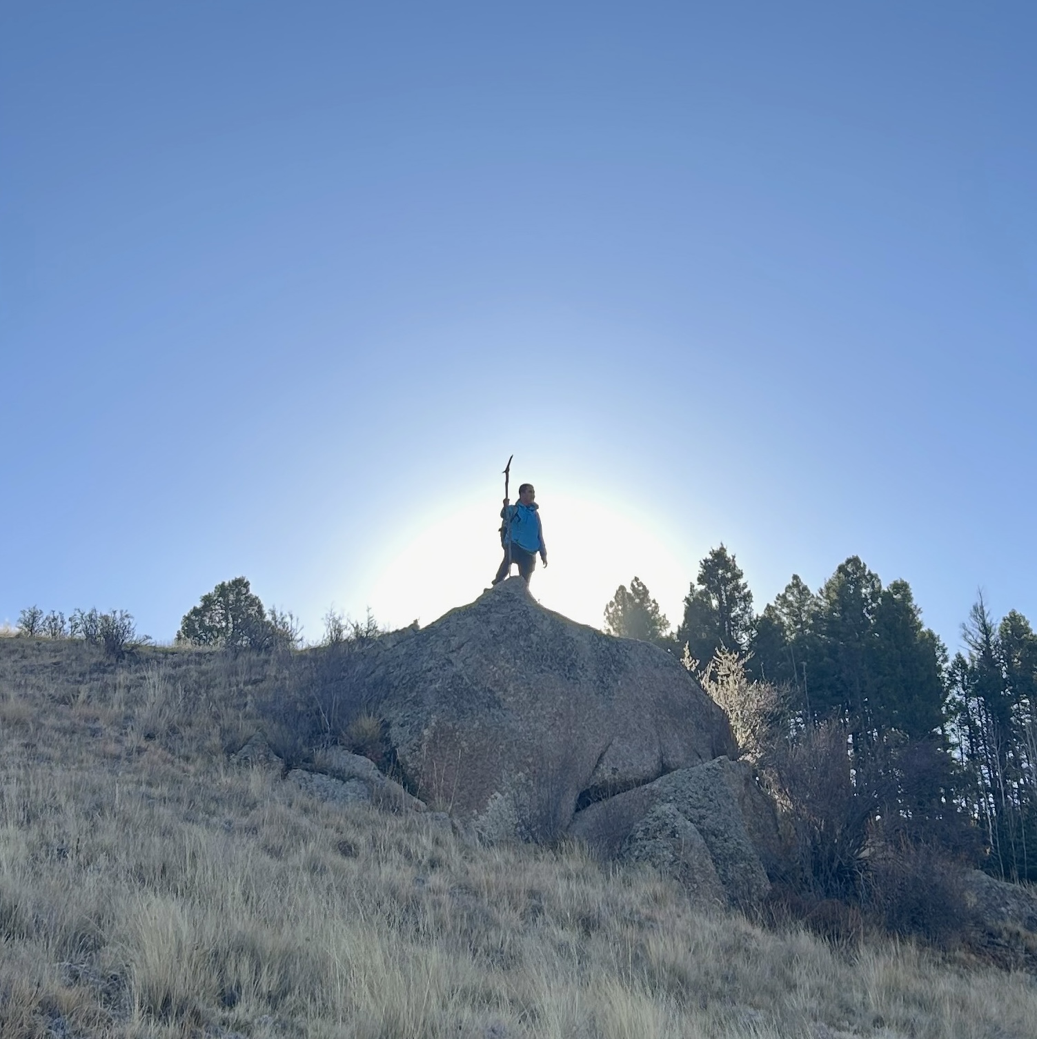 photo of bookshelf with books and words 'photo coming soon'
