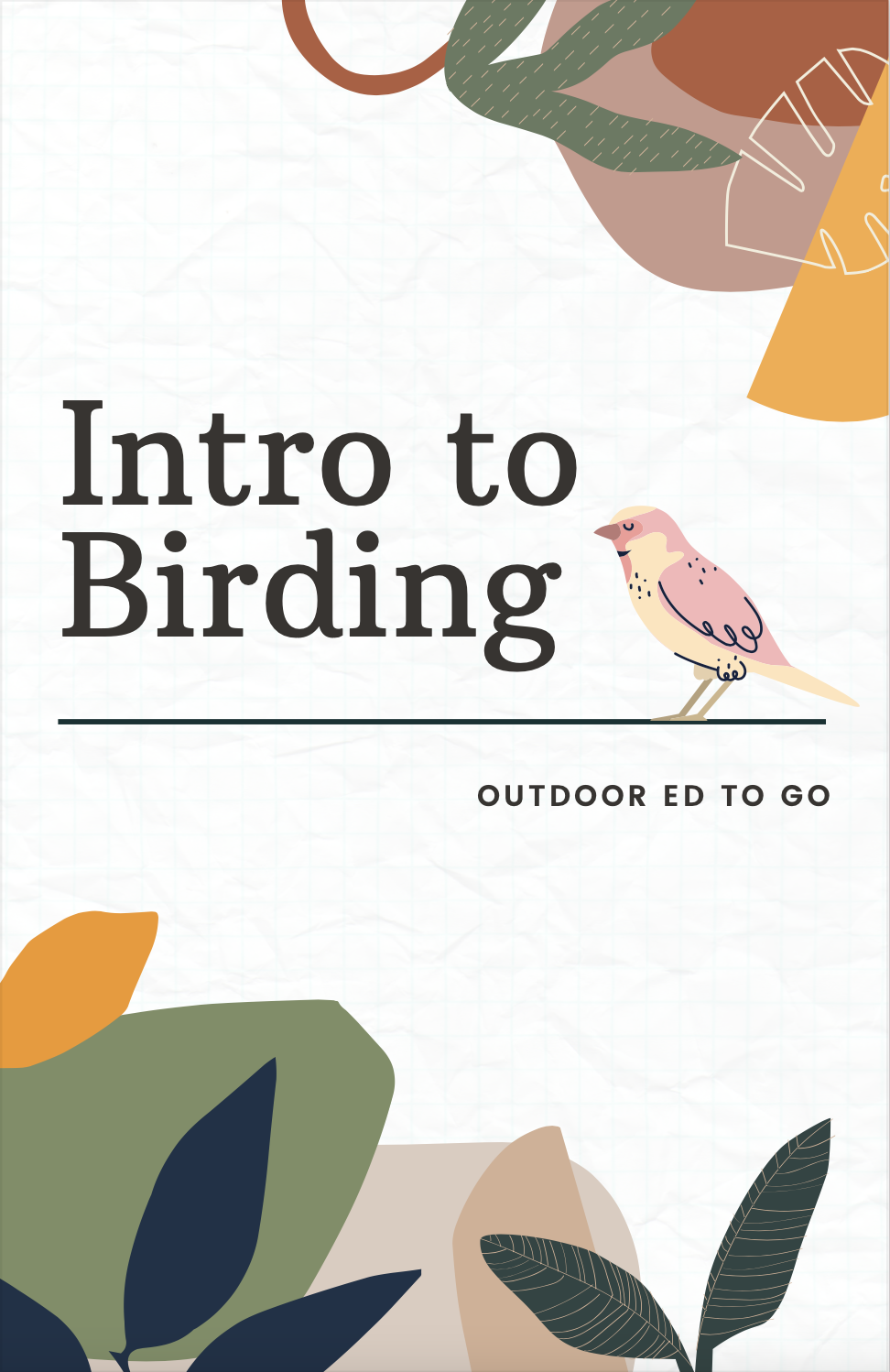 intro-to-birding-pic