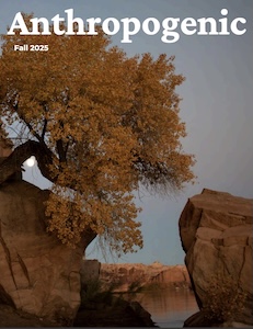 Anthropogenic cover