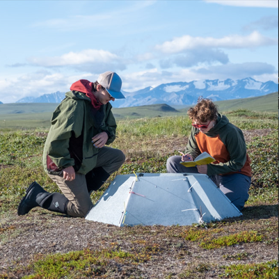 Students Conduct Plant-Pollinator Research in Alaska