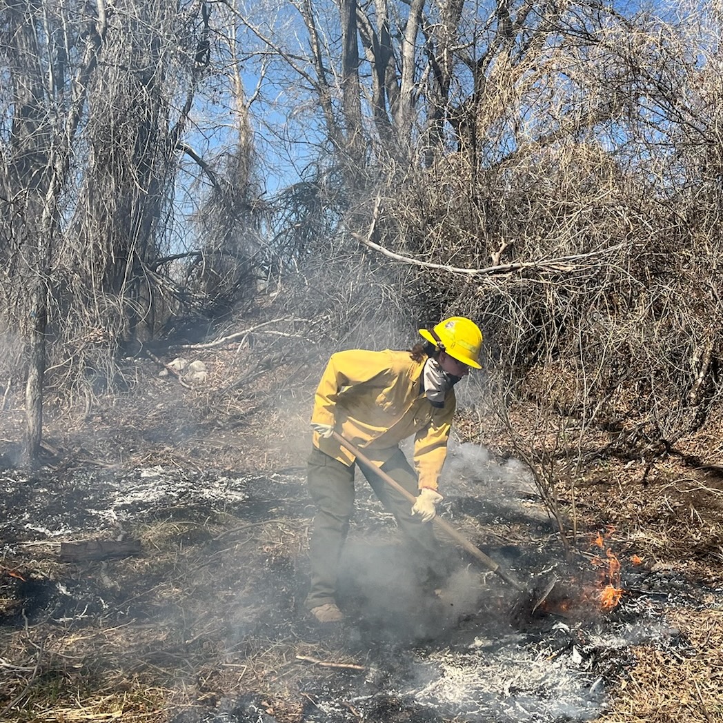 Journalism Institute Students Earn Wildfire Certification