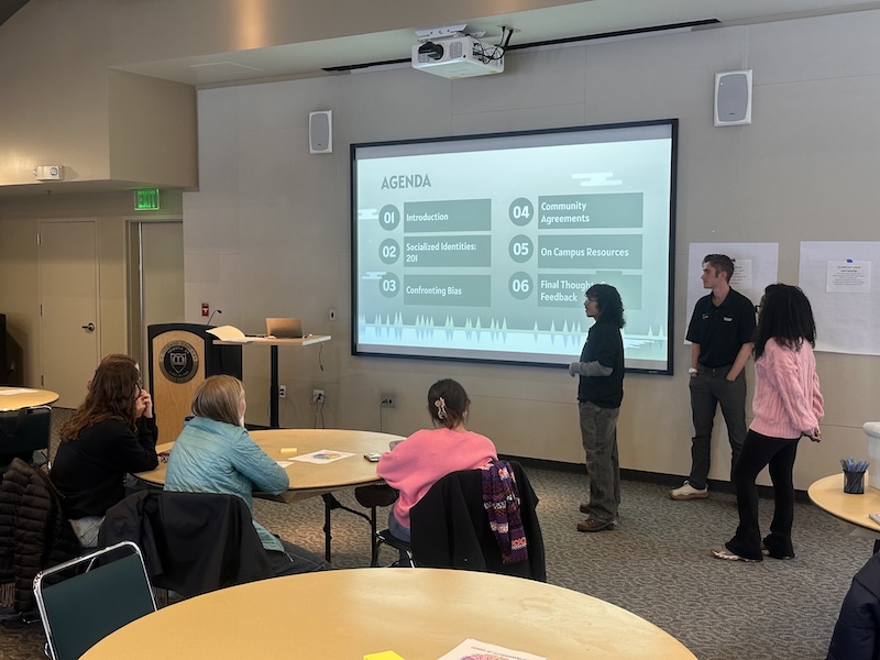 students presenting a diversity workshop to a classroom of their peers