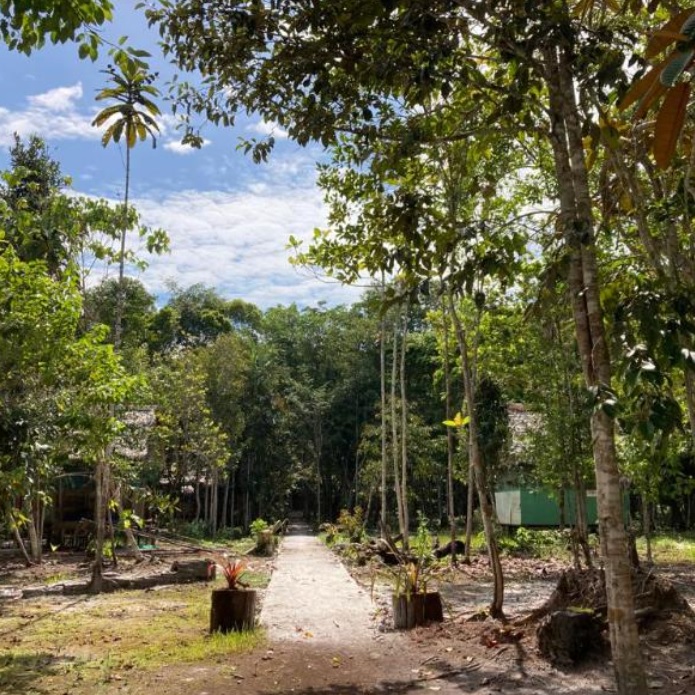 A View of the Colorado State Capital
