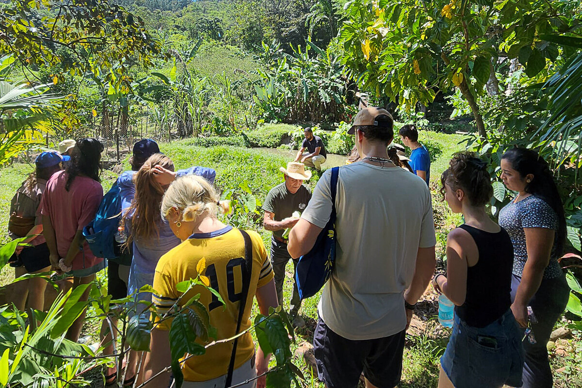 students studying abroad