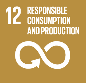 12 Responsible Consumption