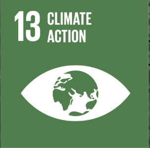 13 Climate Action