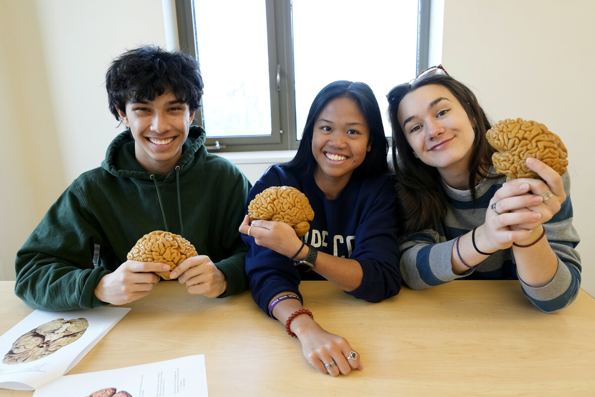 Three students smile as they hold model brains for study.